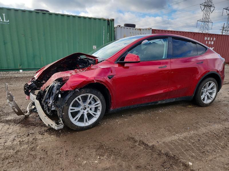 2024 Tesla Model y