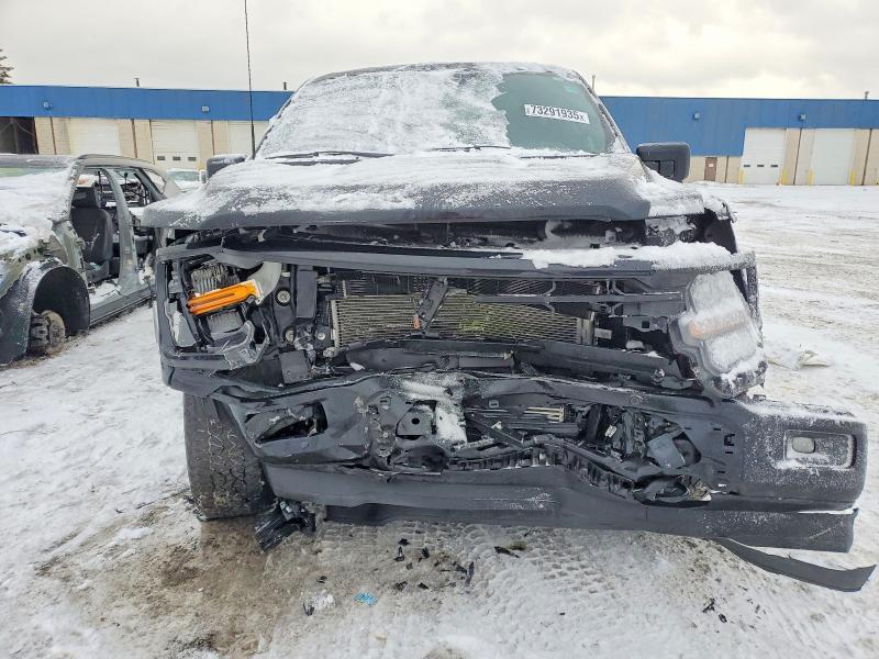 2024 Ford F150 xlt