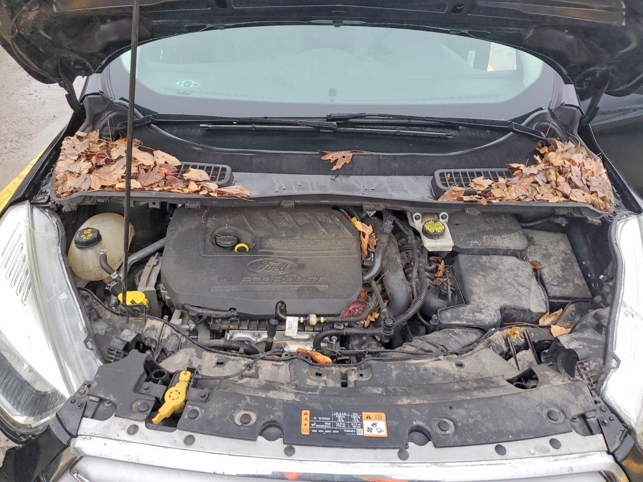 2017 Ford Escape se