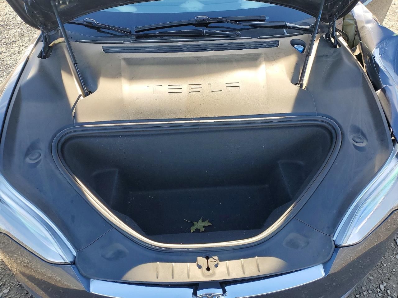 2019 Tesla Model s