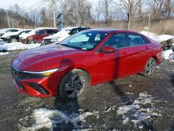 2025 Hyundai Elantra sel Convenience for sale in Marlboro, NY