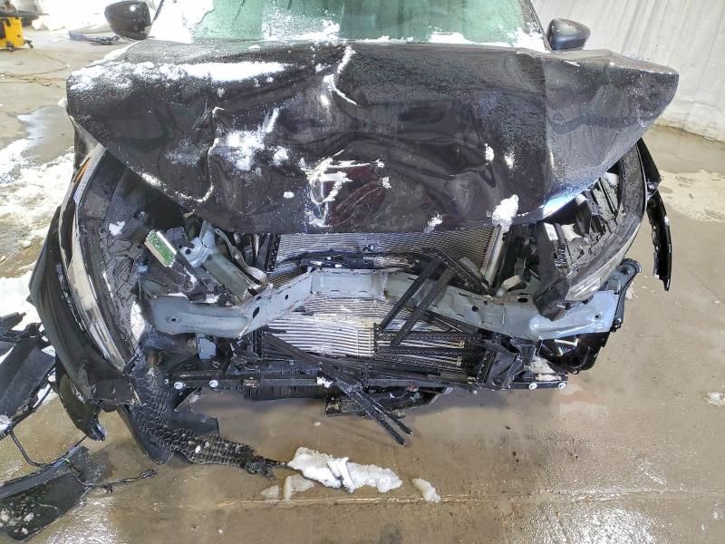 2025 Ford Escape st Line