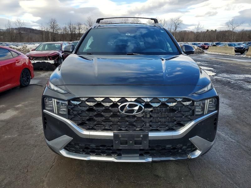 2023 Hyundai Santa fe Calligraphy