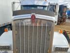 2011 Kenworth W900 Semi Truck