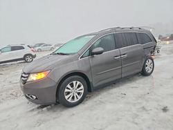 2015 Honda Odyssey exl en venta en Wayland, MI