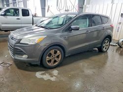 Salvage cars for sale from Copart Ham Lake, MN: 2014 Ford Escape se
