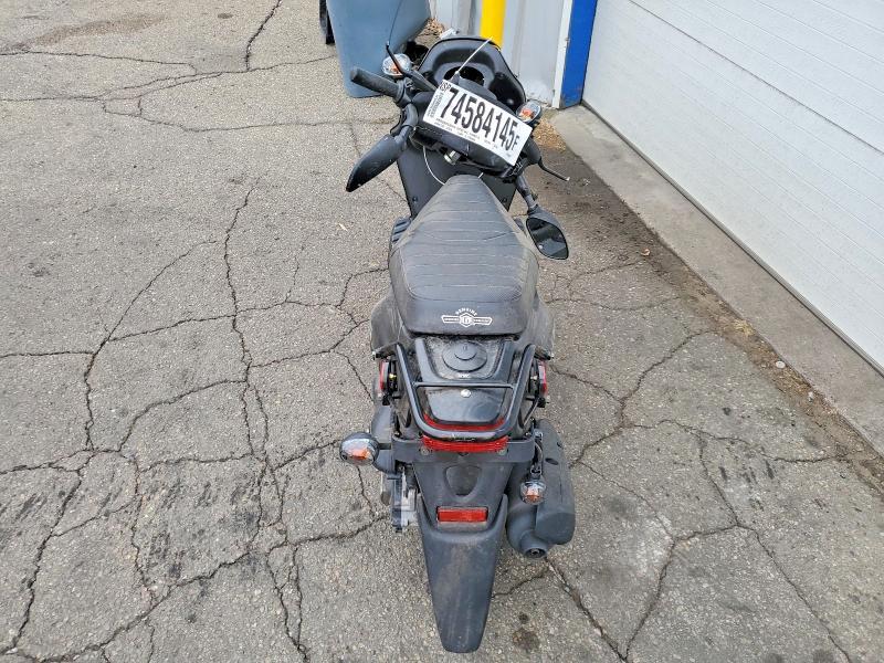 2024 Genuine Scooter Co. Roughhouse 50