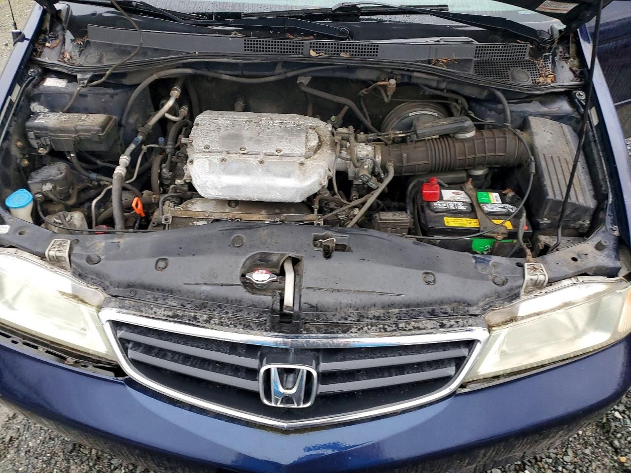 2004 Honda Odyssey exl