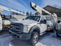 New arrivals for sale at auction: 2015 Ford F450 Super Duty