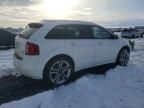 2012 Ford Edge Sport