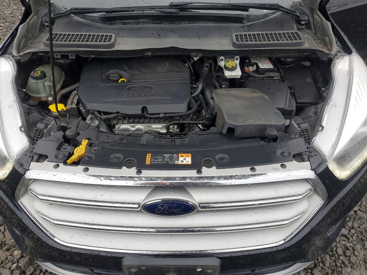 2019 Ford Escape sel