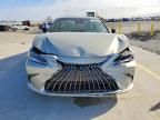 2025 Lexus Es 300h Base