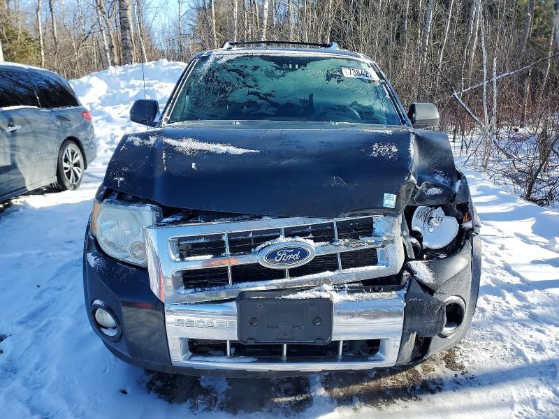2011 Ford Escape Limited