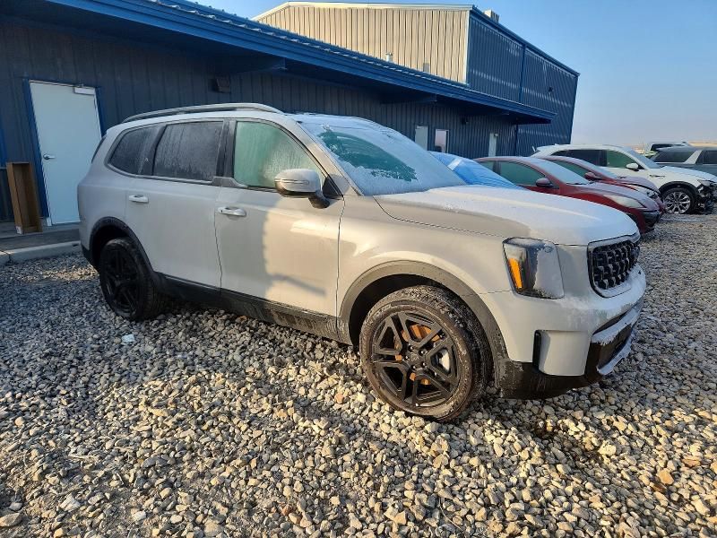 2025 KIA Telluride ex
