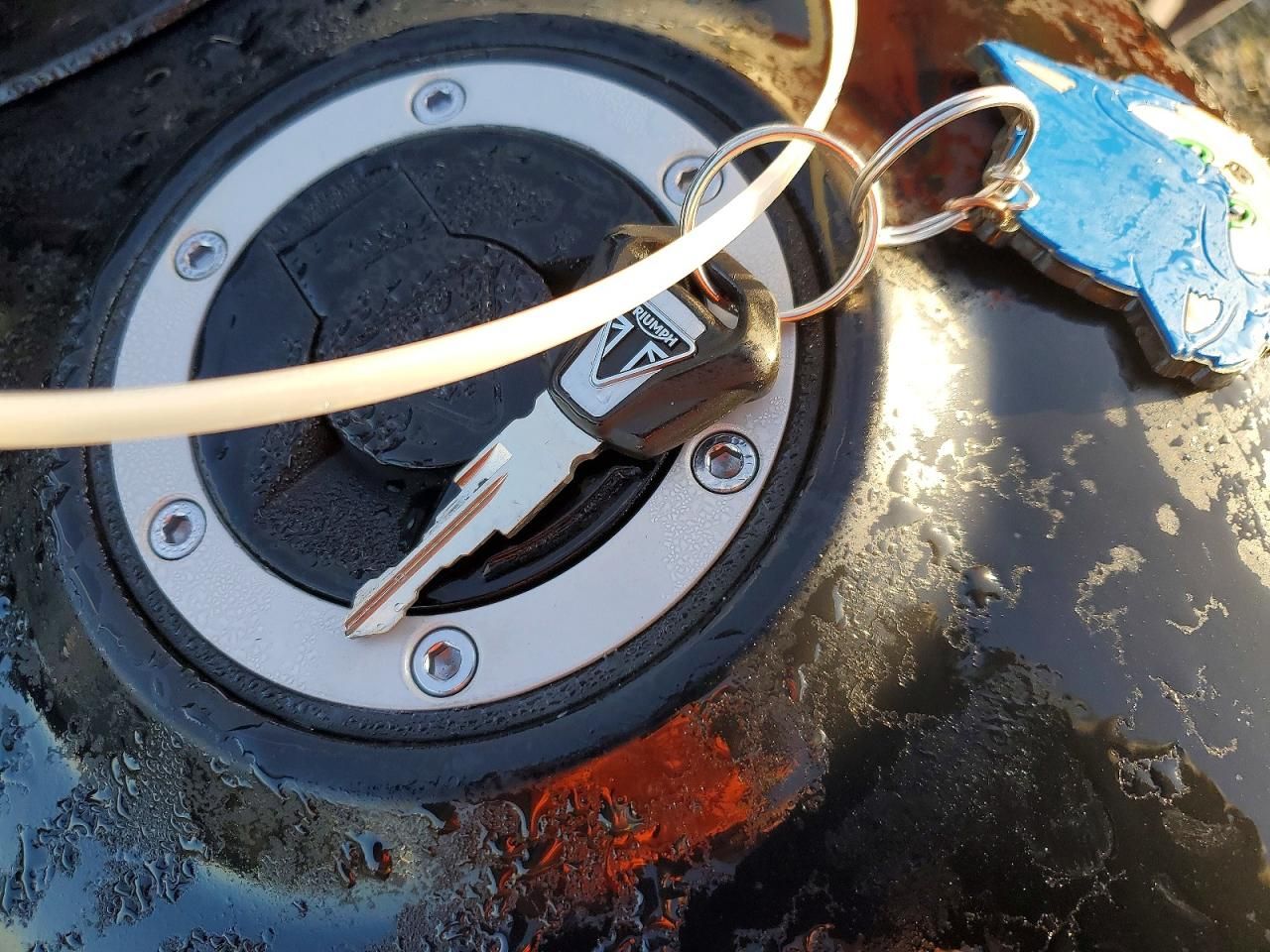 2023 Triumph Trident 660