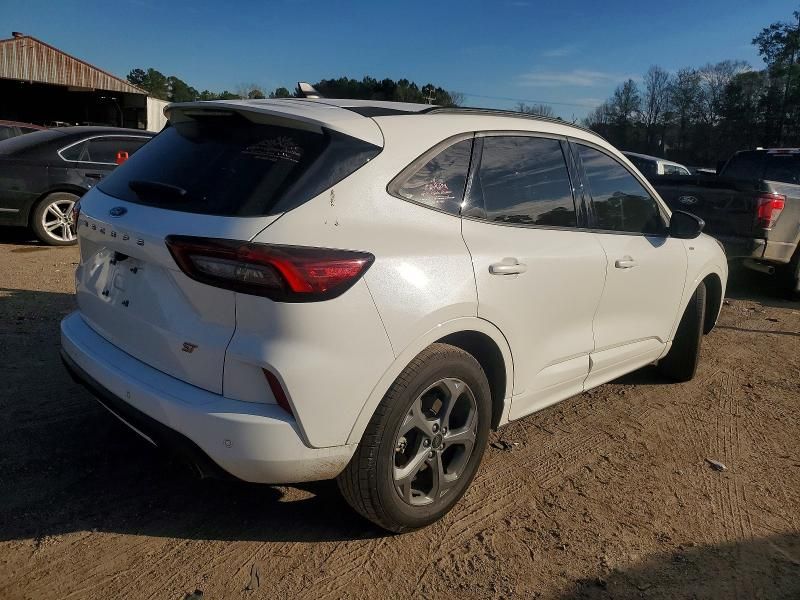 2024 Ford Escape st Line