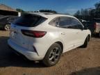 2024 Ford Escape st Line