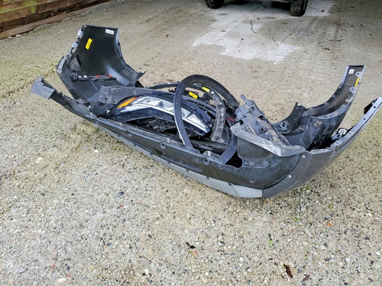 2024 Ford Escape st Line