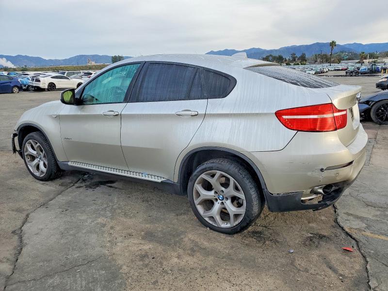2010 BMW X6 Xdrive35i