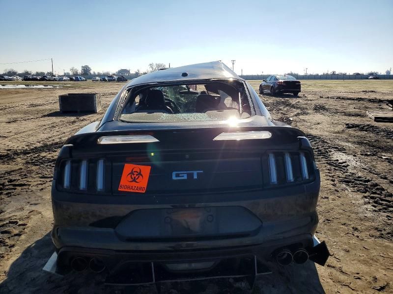 2019 Ford Mustang gt