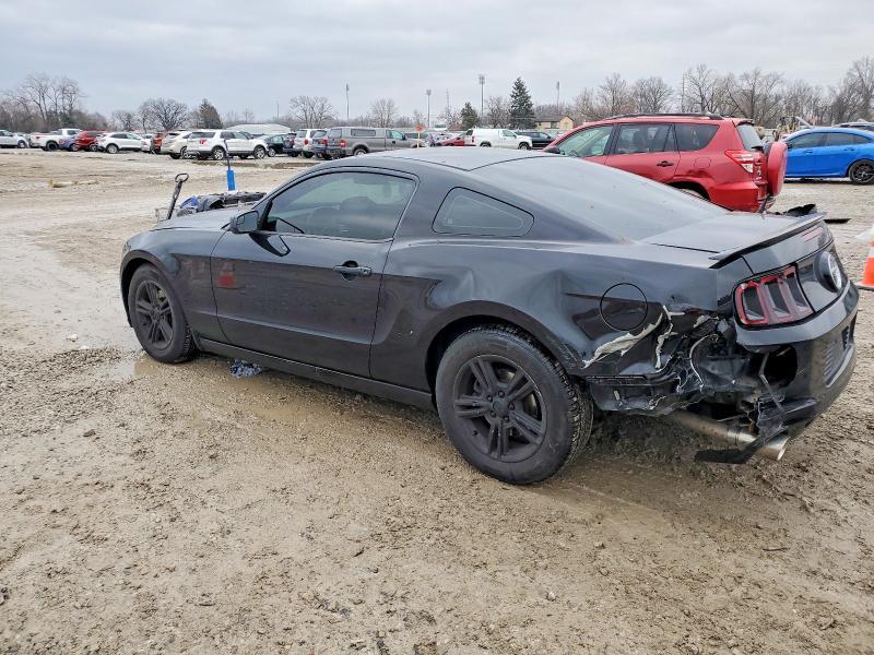2013 Ford Mustang