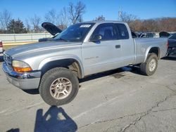 2001 Dodge Dakota en venta en Rogersville, MO