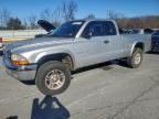 2001 Dodge Dakota