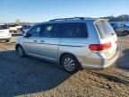 2010 Honda Odyssey exl