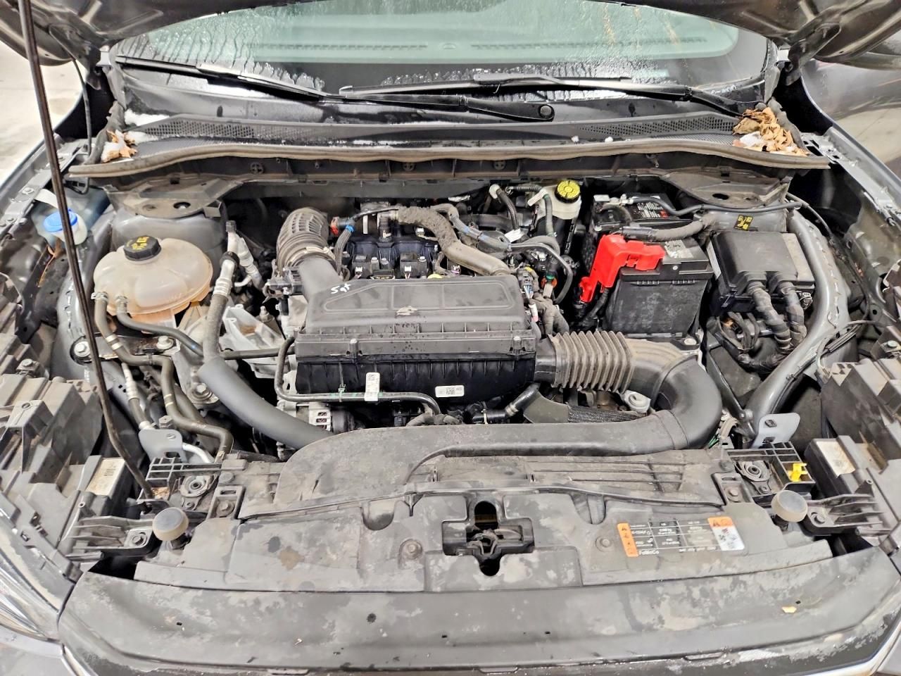 2024 Ford Escape st Line