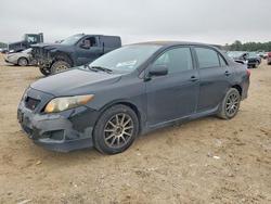 Salvage cars for sale from Copart Houston, TX: 2010 Toyota Corolla Base