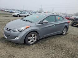 2013 Hyundai Elantra gls for sale in Eugene, OR