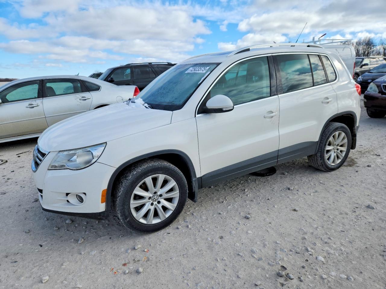 2010 Volkswagen Tiguan se
