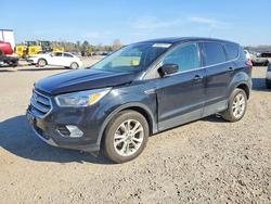 Salvage cars for sale from Copart Lumberton, NC: 2019 Ford Escape se