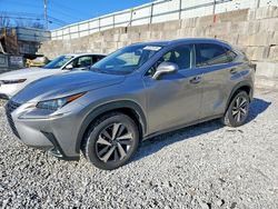 2018 Lexus Nx 300 Base for sale in Walton, KY