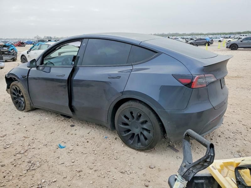 2021 Tesla Model y