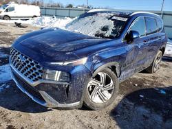 Hyundai salvage cars for sale: 2023 Hyundai Santa fe sel Premium