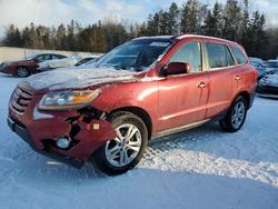 Hyundai salvage cars for sale: 2010 Hyundai Santa fe se