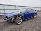 2003 Ford Mustang gt