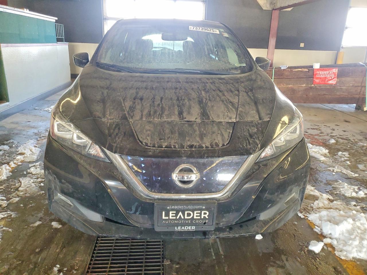 2019 Niss Leaf sv
