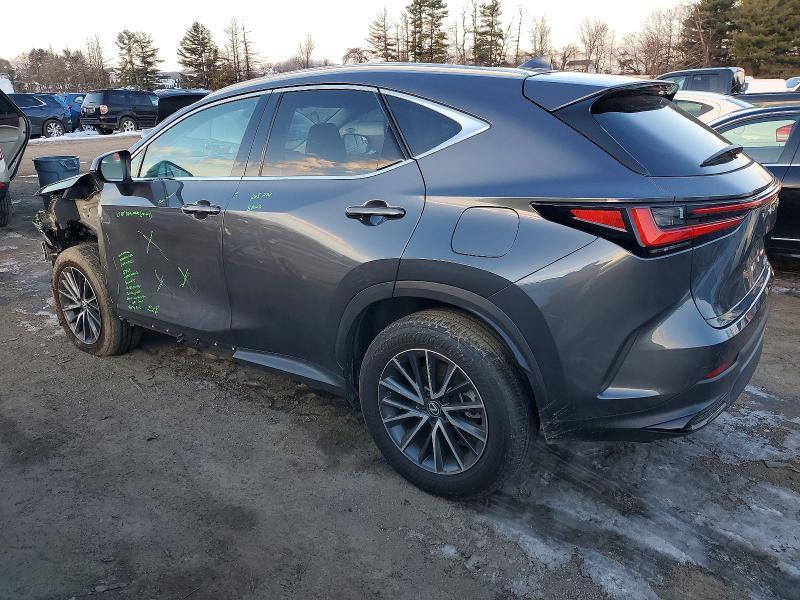 2024 Lexus Nx 350 Premium