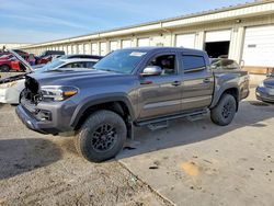 Toyota Tacoma salvage cars for sale: 2020 Toyota Tacoma Double cab