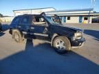 2002 Chevrolet Trailblazer
