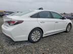 2016 Hyundai Sonata Hybrid
