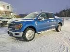2024 Ford F150 xlt