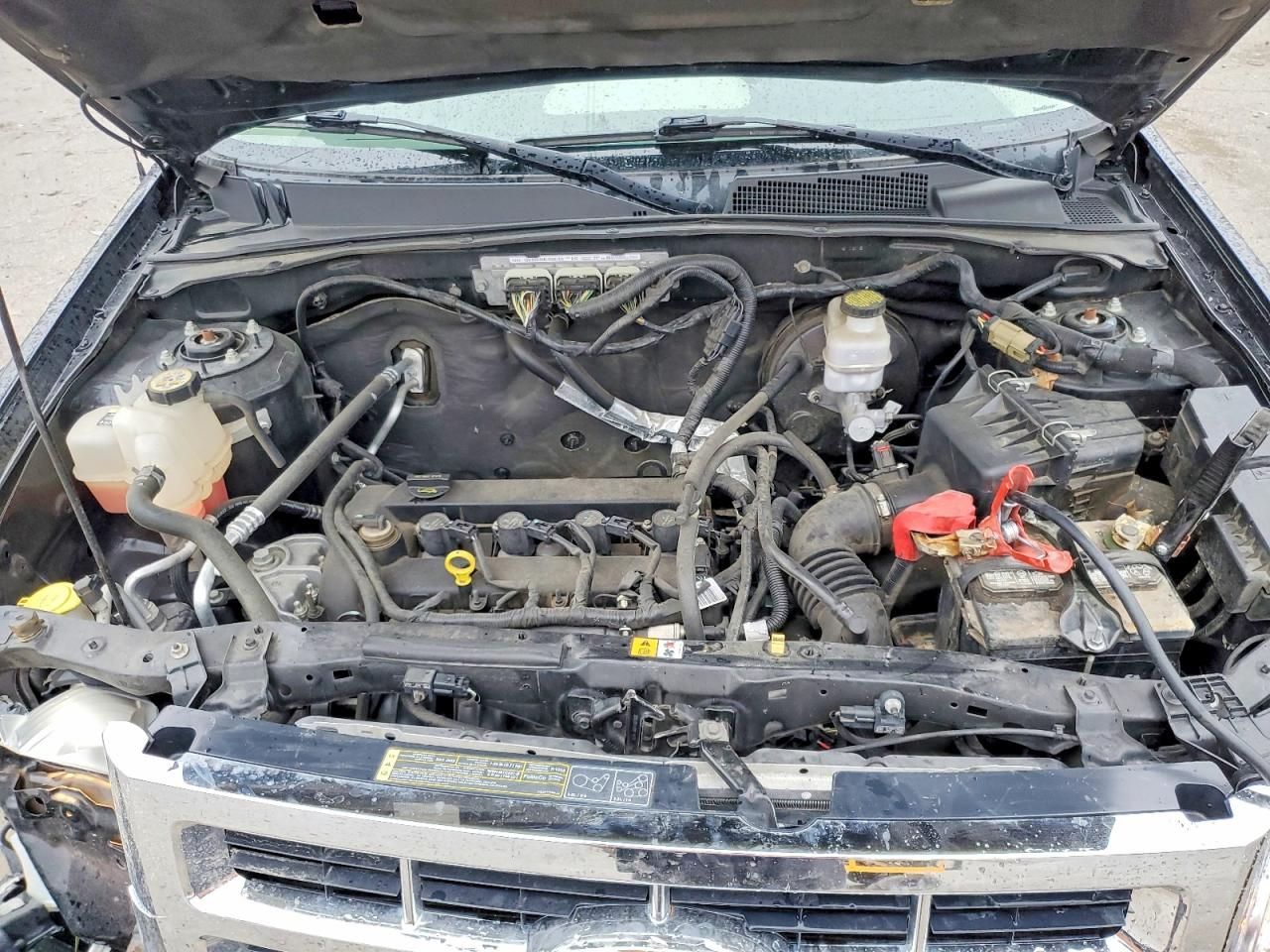 2011 Ford Escape xlt