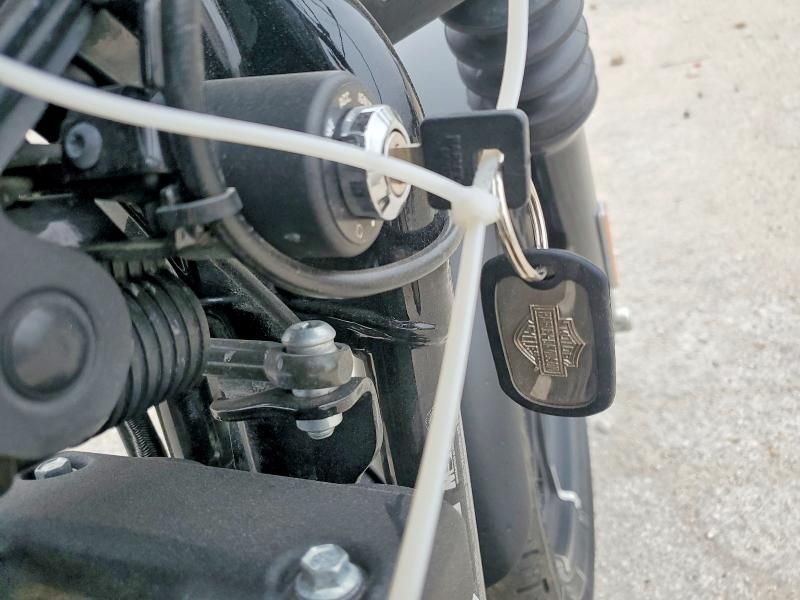 2019 Harley-Davidson Xl883 n