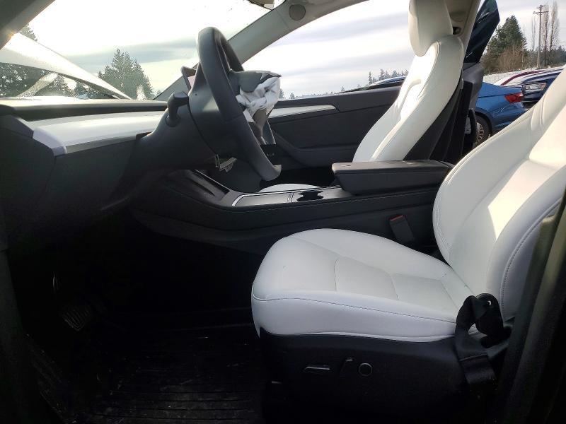 2025 Tesla Model y