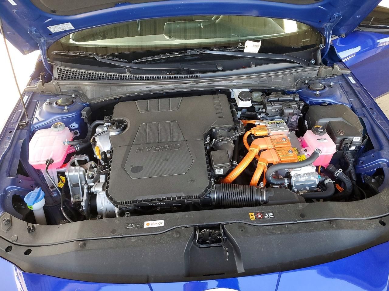 2025 Hyundai Elantra Blue