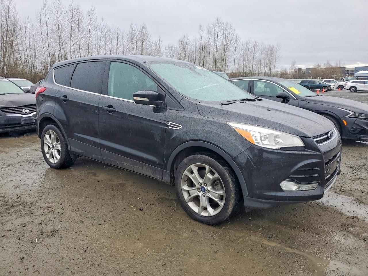 2013 Ford Escape sel