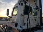 2020 Freightliner Cascadia 126